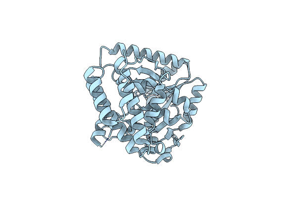 1K30 image