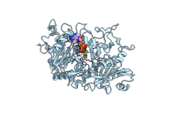 1K3D image