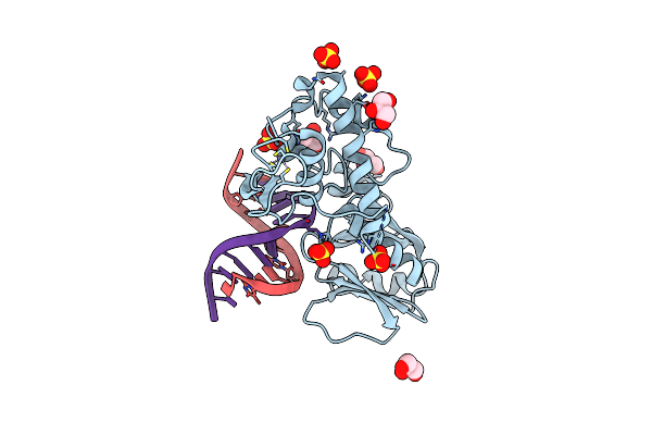 1K3X image