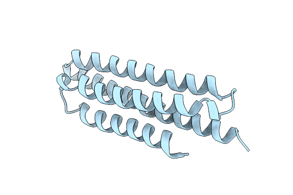 1K40 image