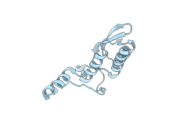 1K46 image