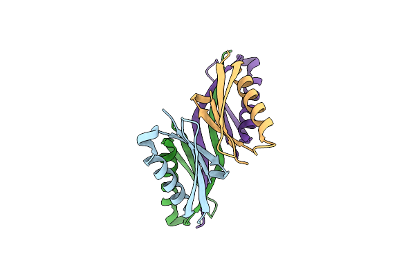 1K50 image