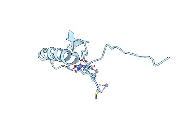 1K51 image