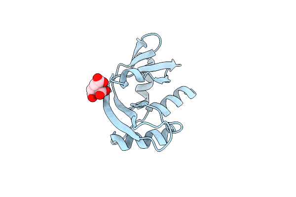 1K59 image