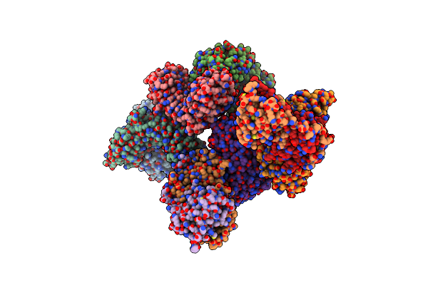 1K5D image