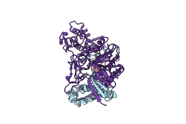 1K7D image