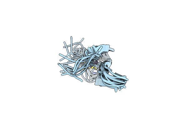 1K81 image