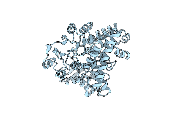 1K89 image