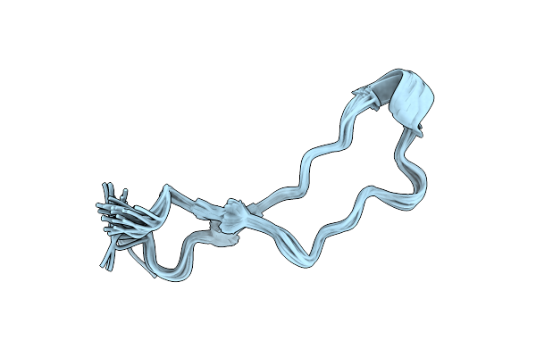 1K91 image