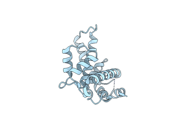 1K95 image