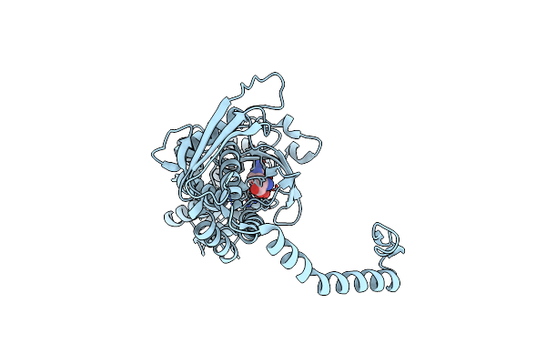 1K97 image