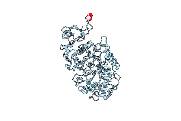 1KBK image