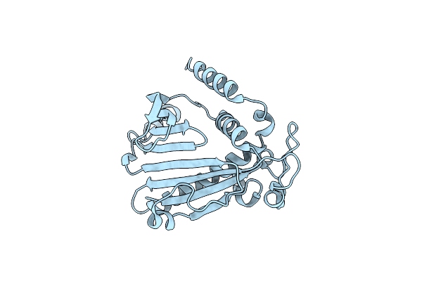 1KCM image