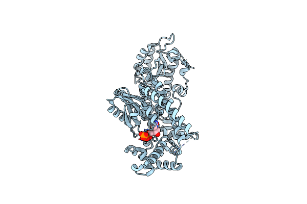1KFD image