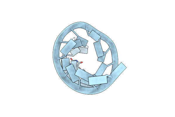 1KFO image