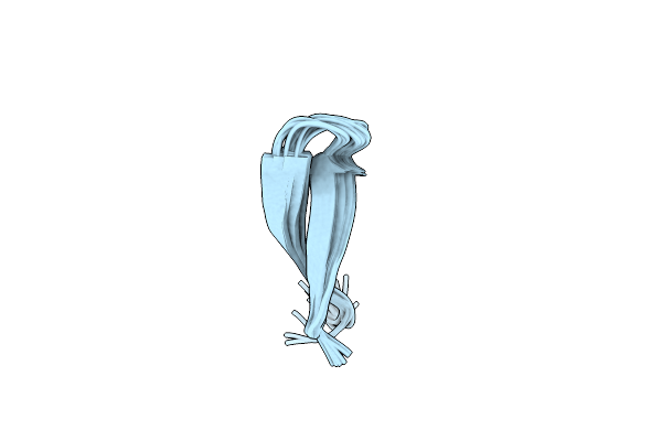 1KFP image
