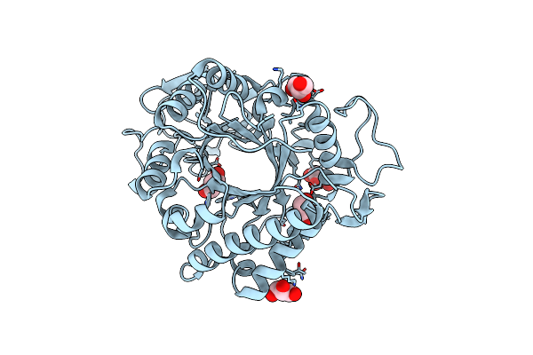 1KFW image