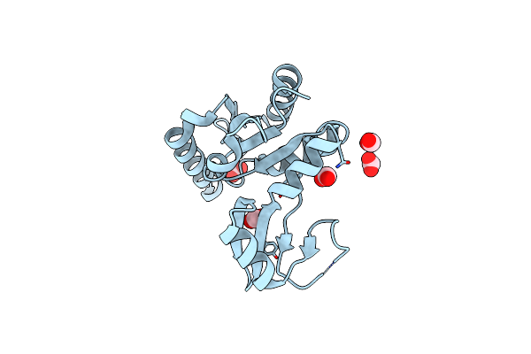 1KGD image