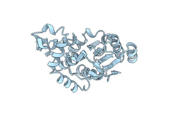 1KGF image