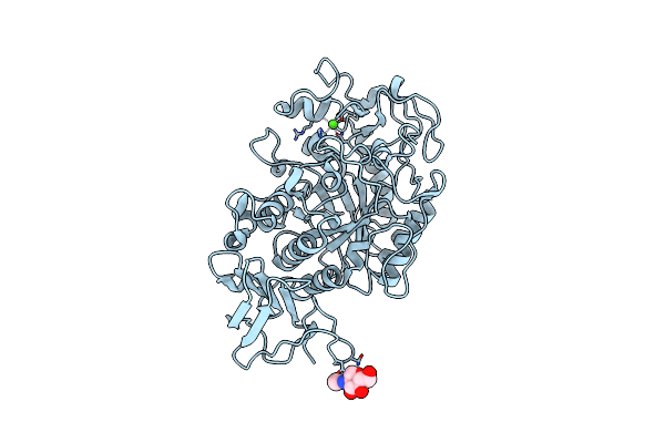 1KGW image