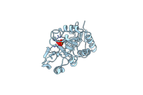 1KK9 image