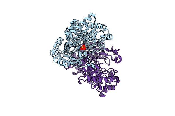 1KKO image