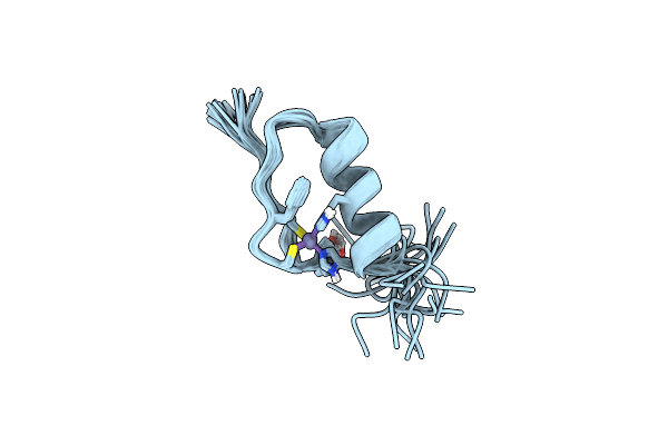 1KLR image