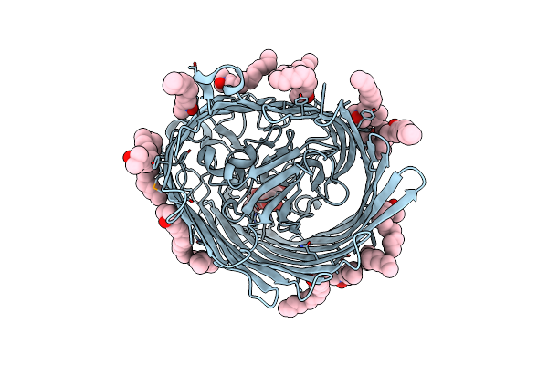 1KMP image