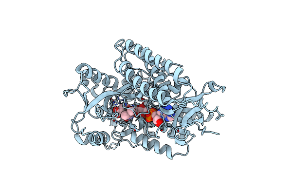 1KNP image