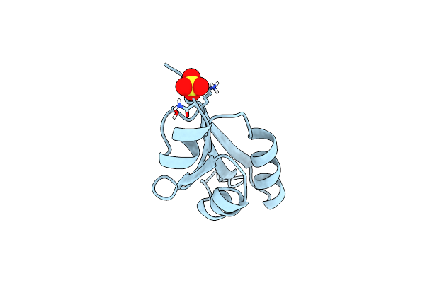 1KP6 image