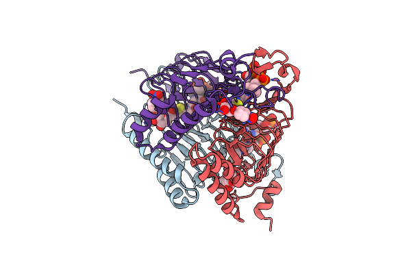 1KRV image