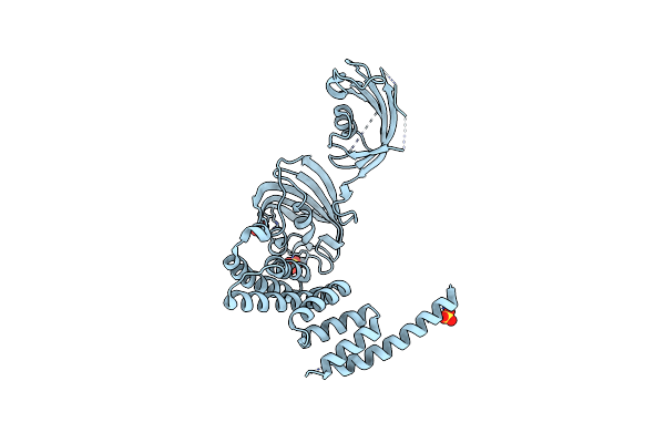 1KT0 image