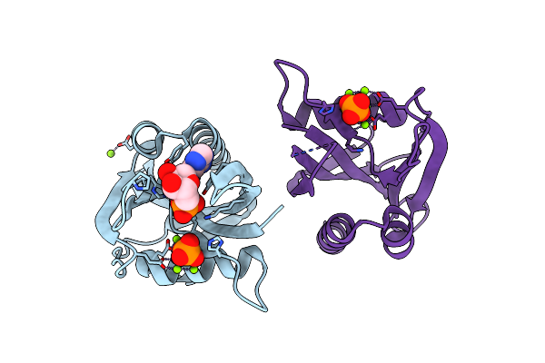 1KTG image