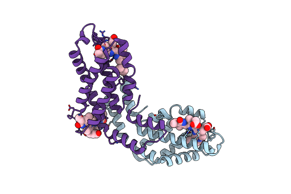 1KTP image