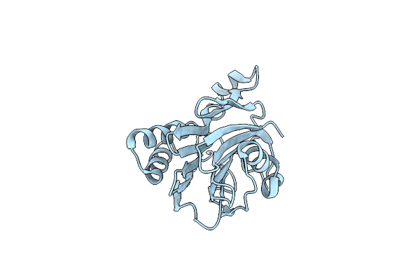 1KUU image