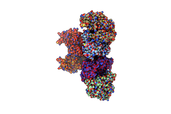 1KV3 image