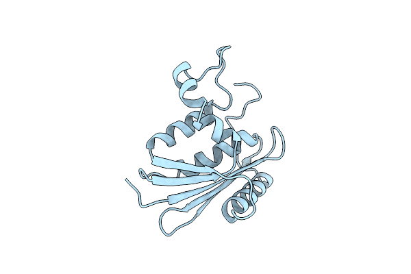 1KVB image