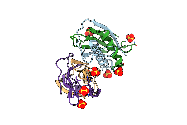 1KVD image