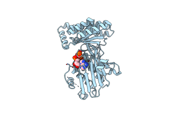 1KVK image