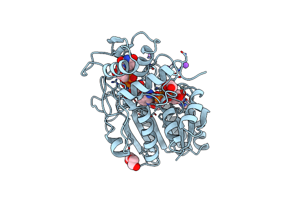 1KVU image