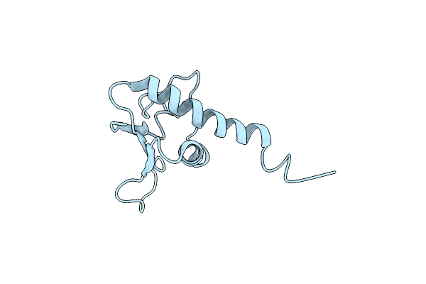 1KVV image