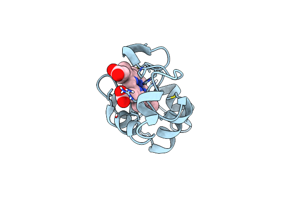 1KX2 image