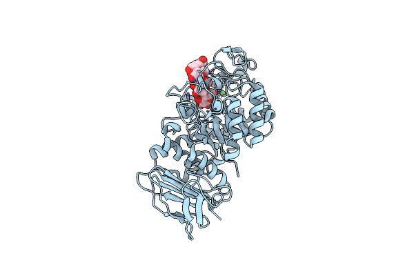 1KXH image