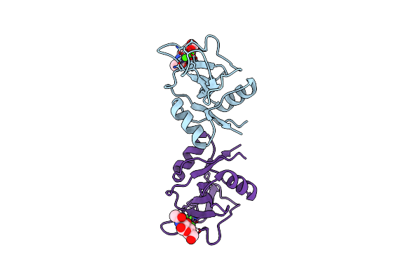 1KZD image