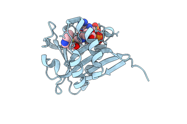 1L0C image