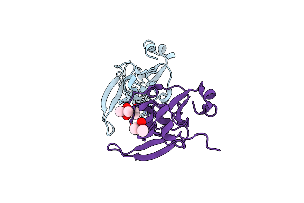 1L1D image