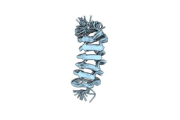 1L1I image