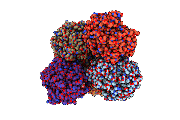 1L2A image