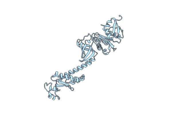 1L2F image