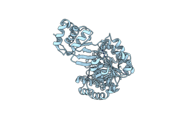 1L2L image
